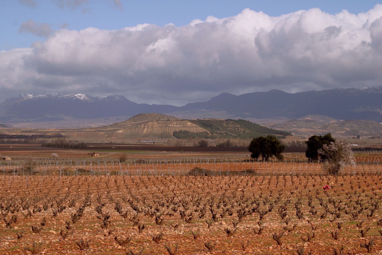 Alquiler Íntegro o por Habitaciones: Qué Estás Reservando de Verdad en La Rioja
