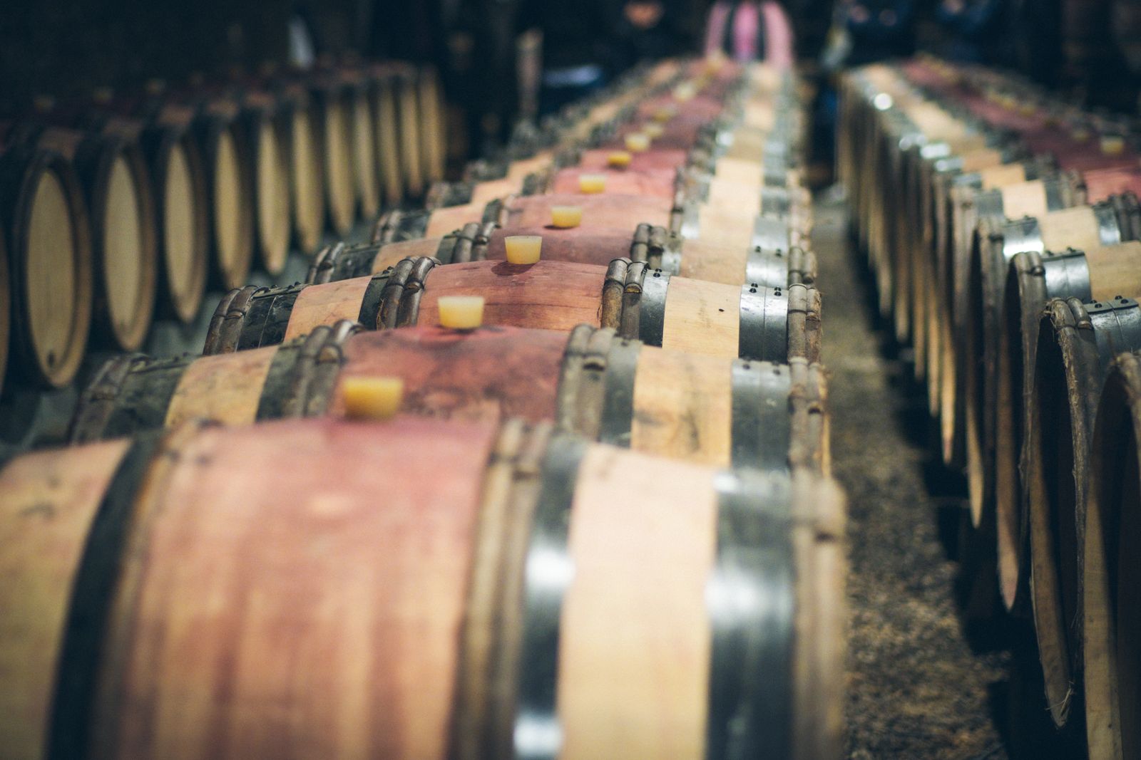 Filas de barricas de roble con la madera teñida de vino tinto y tapones de silicona, envejeciendo vino en un calado en penumbra