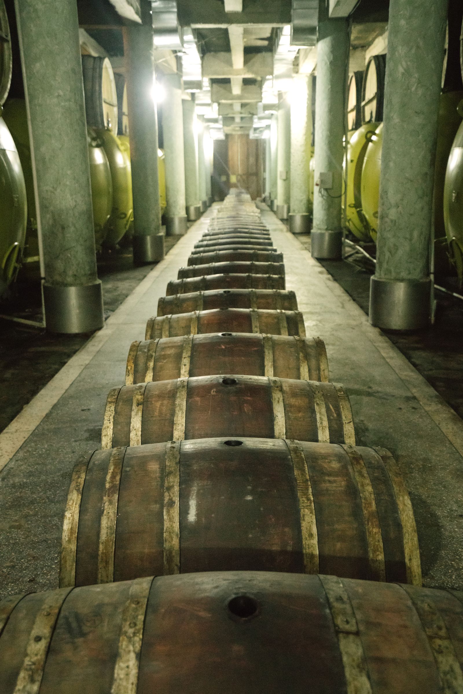 Crianza, Reserva y Gran Reserva en Rioja: Qué Significa la Etiqueta y Cuál Elegir