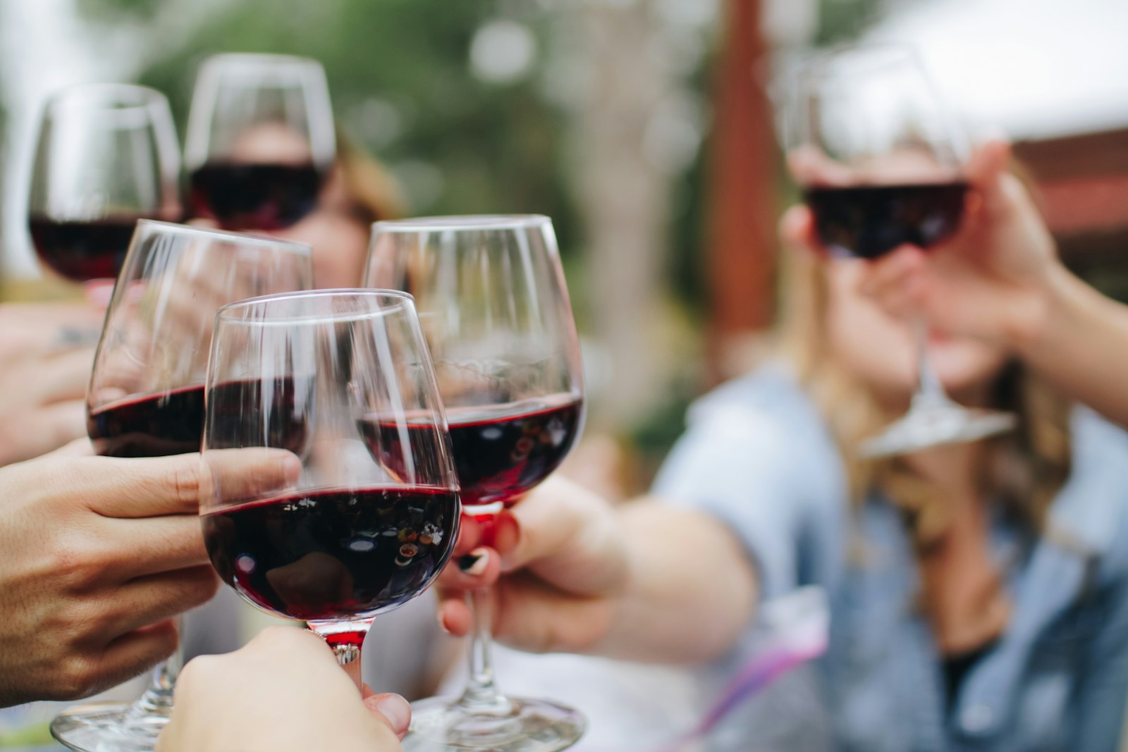 Brindis en una cata privada de vino en La Rioja