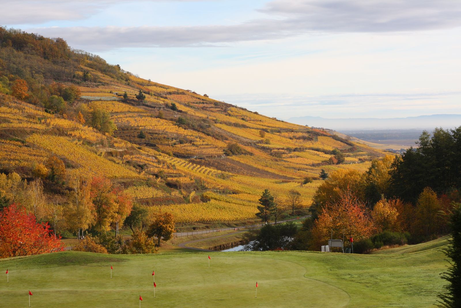 Green de golf con banderas rojas al pie de una ladera de viñedo dorado en otoño, imagen de un viaje de golf y vino