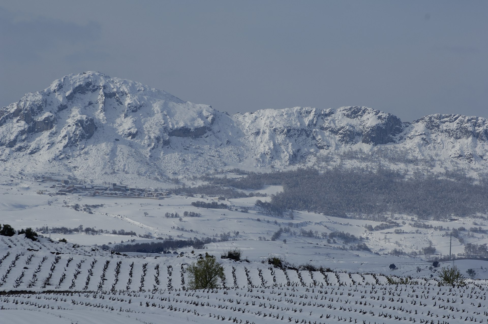 Navidad y Nochevieja en Familia en La Rioja: la Reunión que no Cabe en un Hotel