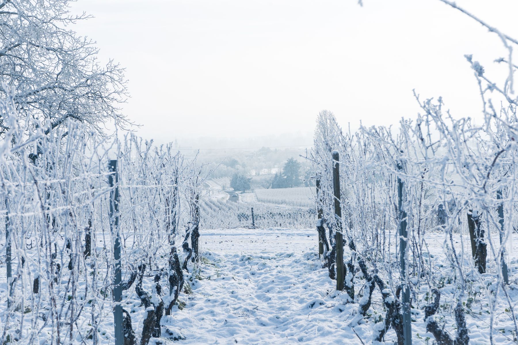 Un Palacio Entero en Invierno: por qué de Noviembre a Marzo es la Mejor Época para Alquilar en La Rioja
