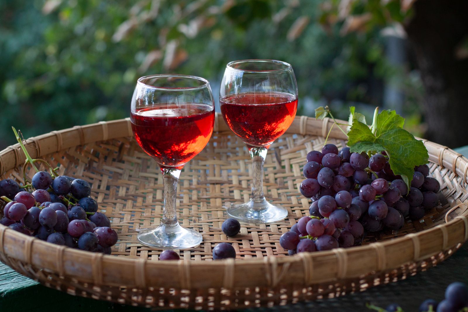 Dos copas de vino tinto sobre una bandeja de mimbre con racimos de uva tinta, para comparar un Rioja y un Ribera del Duero