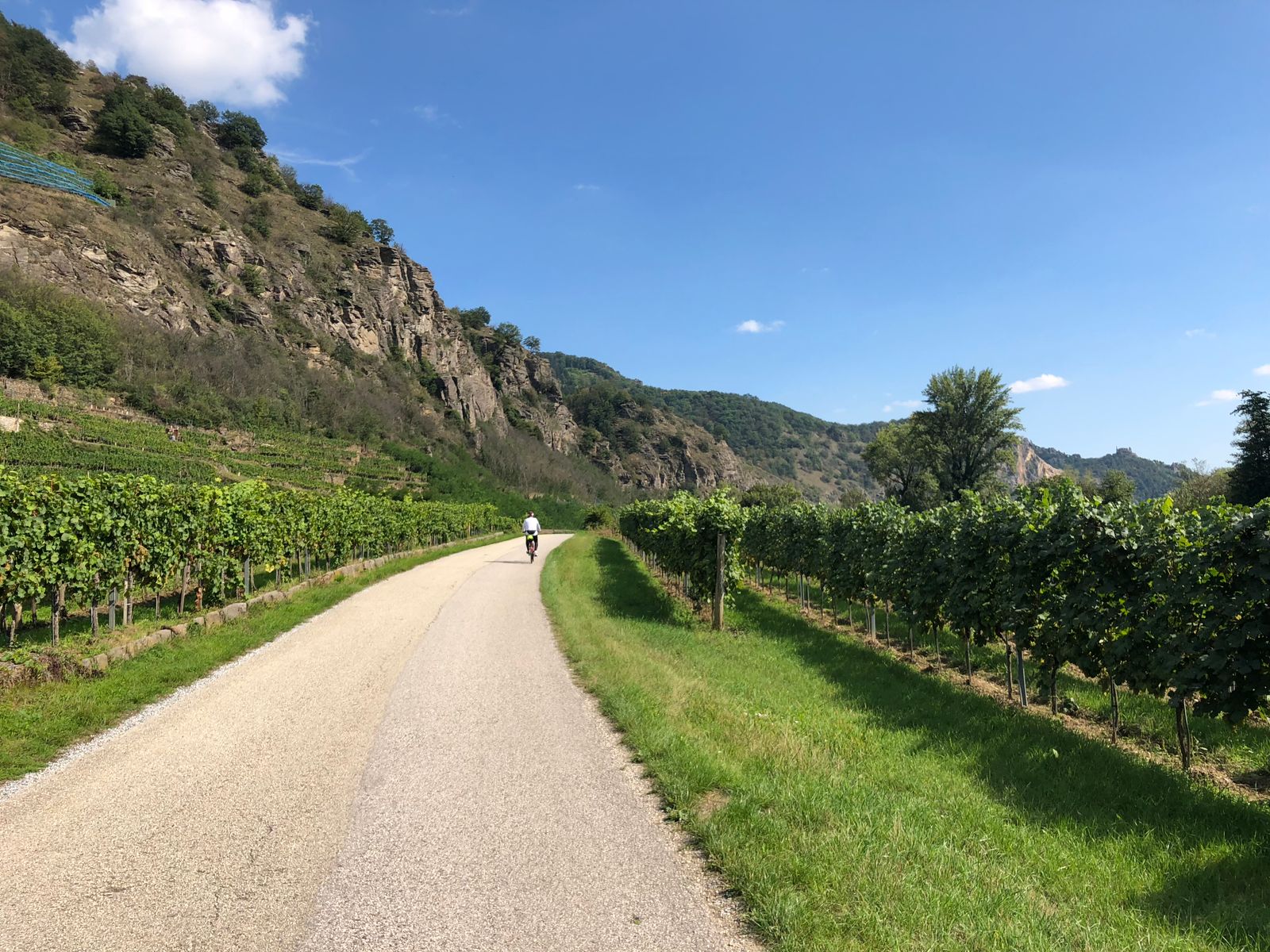 Ciclista por un camino entre hileras de viñedo al pie de unos riscos de roca, el tipo de ruta en bicicleta entre viñedos que sale desde Haro, La Rioja