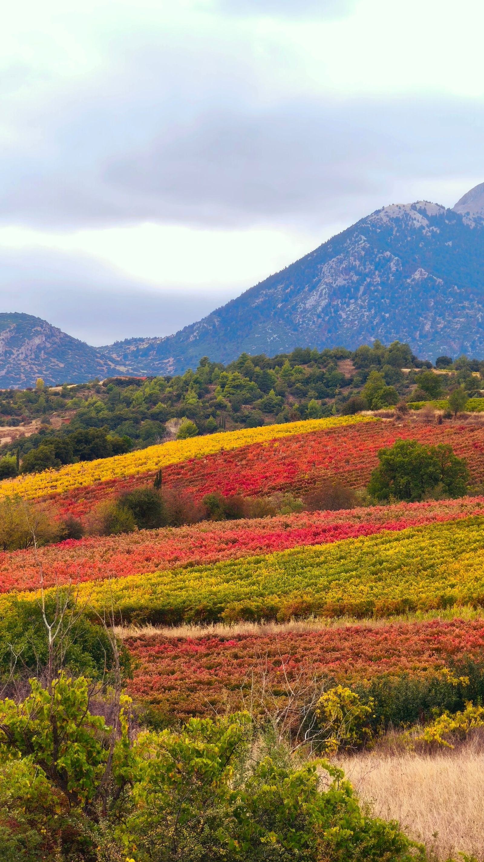 La Ruta del Norte de España en Otoño: San Sebastián, Bilbao y La Rioja en su Mejor Época