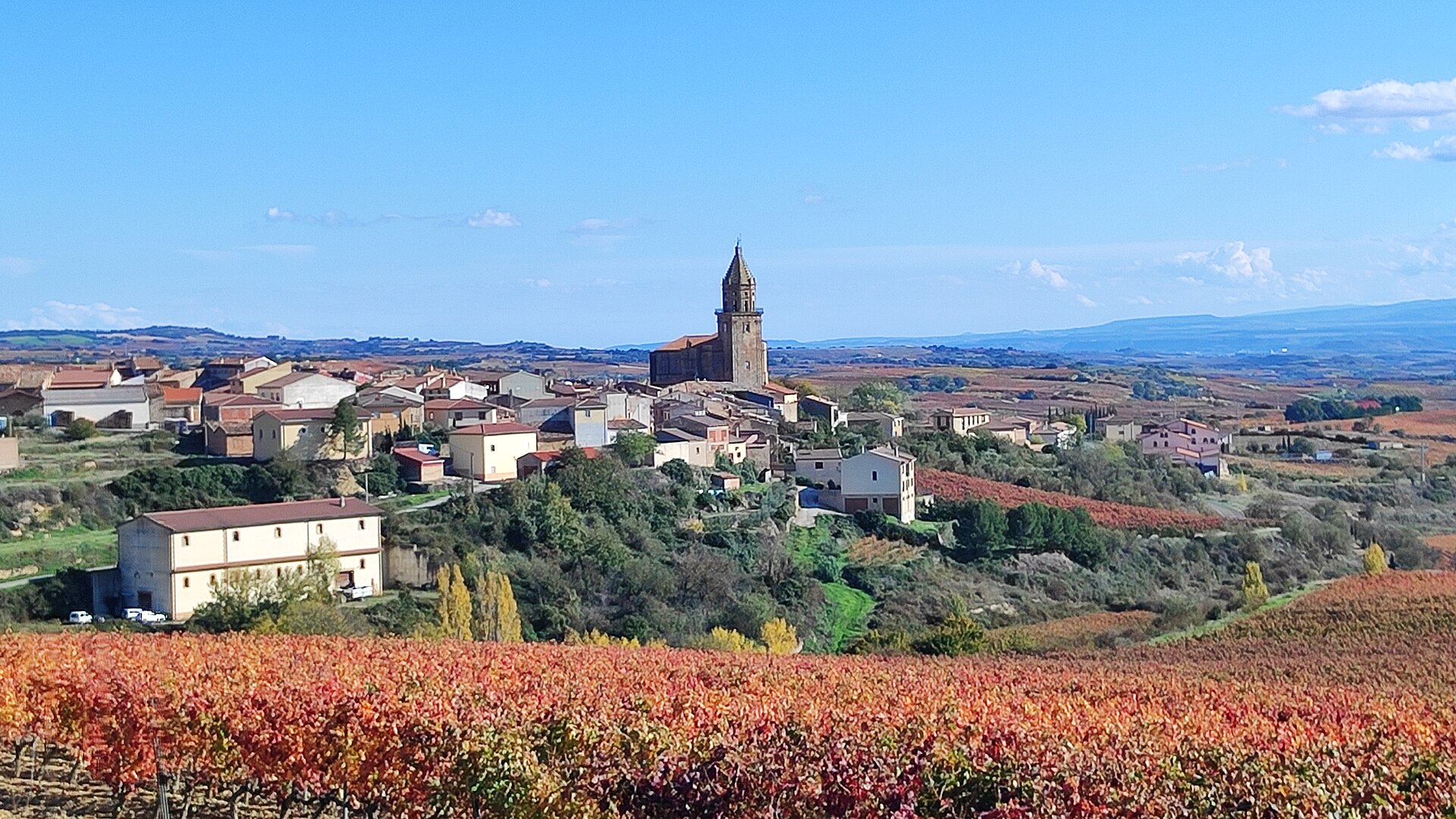 Vendimia 2026 en La Rioja: por qué se ha Adelantado y qué Significa para el Vino