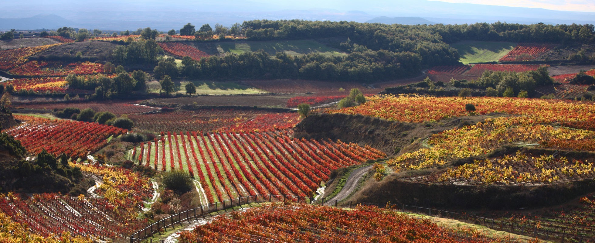 Viajes de Incentivo en La Rioja: Cómo Premiar a tu Mejor Equipo con un Palacio Privado